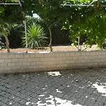 Ivo