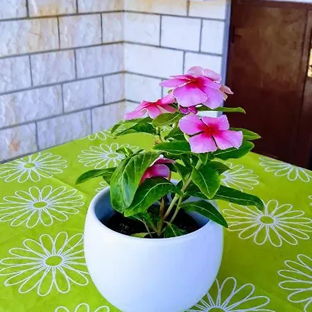 Apartmán Ivo Trogir