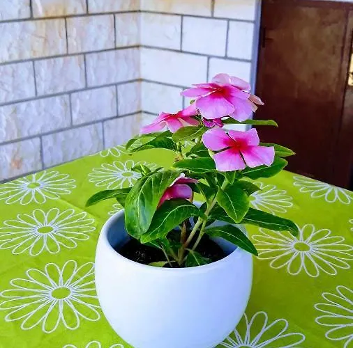 Appartement Ivo Trogir